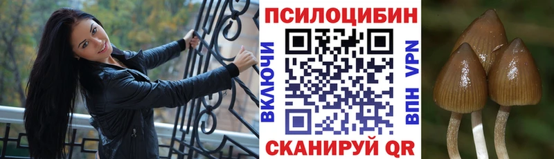Галлюциногенные грибы Psilocybine cubensis  Жердевка 